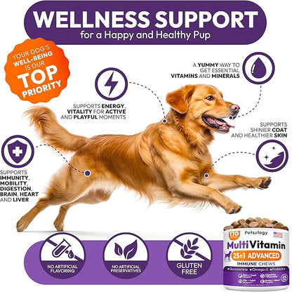 Dog Multivitamin Chewable - Dog Vitamins and Supplements with Glucosamine - 170 Chews - Hip & Joint, Pet Immune Support, Skin & Coat, Gut & Heart Health - Senior & Puppy Multivitamin Pet Supplement