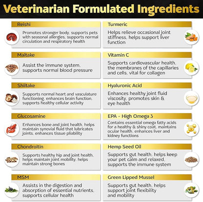 Soft Chews Hip and Joint Supplement for Dogs - Dog Joint Pain Relief Treats - Glucosamine, Chondroitin, Turmeric- Mobility Bites Supplement