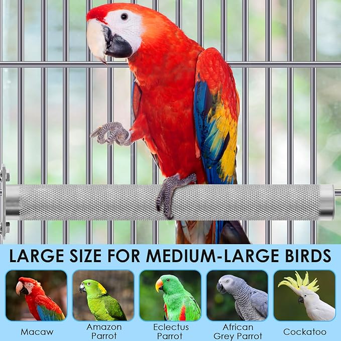 KATUMO Bird Perch - Stainless Steel - Rough Surface Stand for Small to Medium Parrots (9.8 x 1.0 inch)