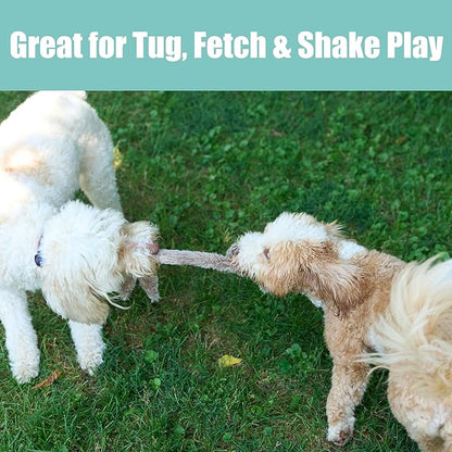 SPOT Skinneeez Rabbit 22 Inch Stuffing-Free Plush Dog Toy with Dual Squeakers – Long Interactive Chew Toy for Medium and Large Dogs – Mess-Free Play for Light & Moderate Chewers