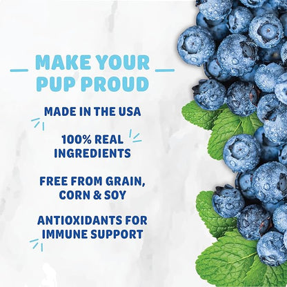 Shameless Pets Dental Treats for Dogs, Variety (4-Pack) - Healthy Dental Sticks for Teeth Cleaning & Fresh Breath - Dog Bones Dental Chews Free from Grain, Corn & Soy