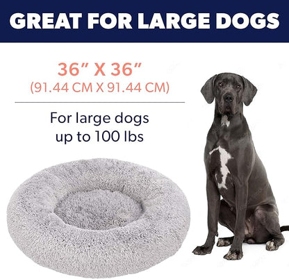 Active Pets Medium Dog Bed, Calming Orthopedic Pet Bedding for Anxiety Relief, Joint Support & Comfort, Washable Dog Furniture, Med 45lbs, Light Grey