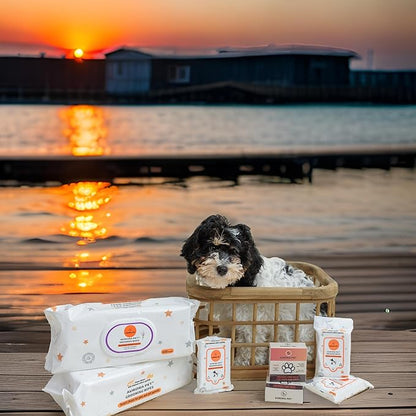 Aurora Pet Wipes – 100% Natural, Plant-Based Hypoallergenic Grooming Wipes for Dogs & Cats – Extra-Durable, Large & Thick for Effortless Cleaning (Unscented, 200 Count)