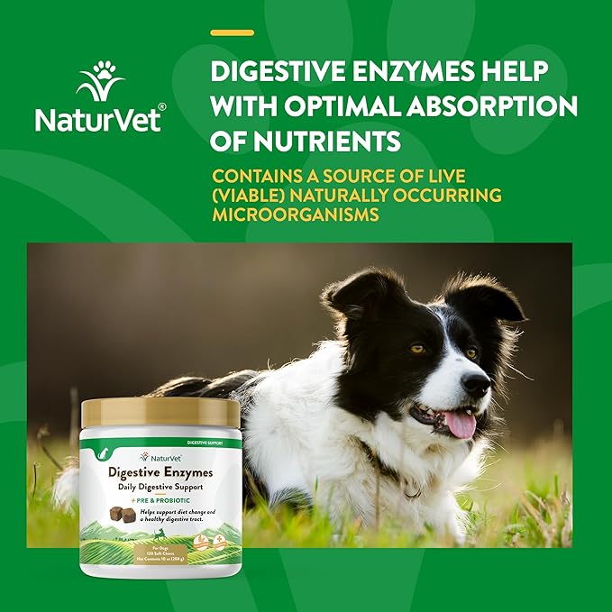 NaturVet  Digestive Enzymes - Plus Probiotics & Prebiotics  Helps Support Diet Change & A Healthy Digestive Tract  for Dogs & Cats (Soft Chews, 120 Count)