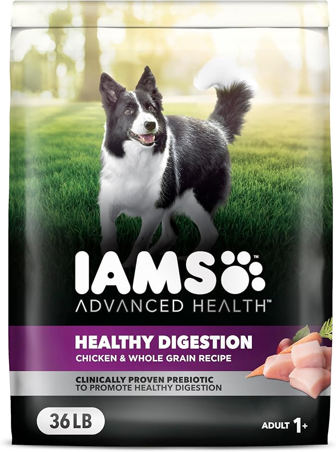 IAMS Advanced Health Healthy Digestion Adult Dry Dog Food with Real Chicken, 36 lb. Bag