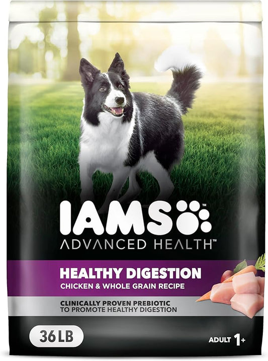IAMS Advanced Health Healthy Digestion Adult Dry Dog Food with Real Chicken, 36 lb. Bag