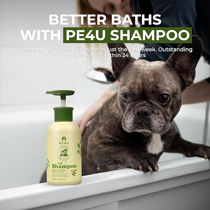 Natural Pet Shampoo for Dogs & Cats – Dog Shampoo Itchy Skin Relief, Odor Control & Deep Cleansing – Plant Based Formula Dog Shampoo Cat Shampoo – Safe for Sensitive Skin, Reduce Shedding – 1 Box