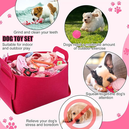 Abbylike 50 Pcs Puppy Supplies Starter Kit for Small Dogs Puppy Essentials Includes Leash, Bowls, Teeth Brushes, Water Bottle, and More Accessories for Dogs Christmas Welcome Gift(Pink)