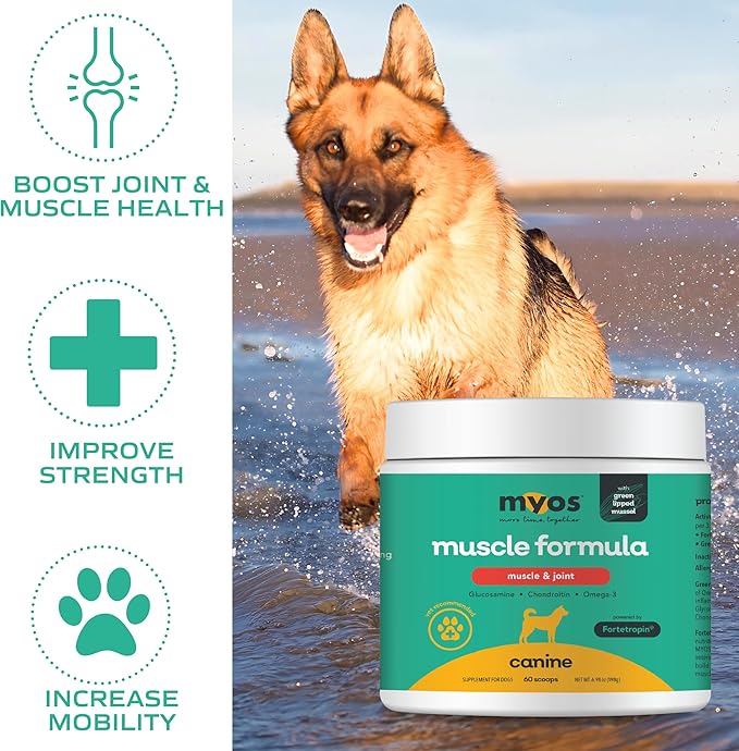 MYOS Muscle & Joint Powered by Fortetropin with Green Lipped Mussel (198 gr)