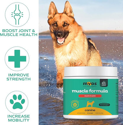 MYOS Muscle & Joint Powered by Fortetropin with Green Lipped Mussel (198 gr)