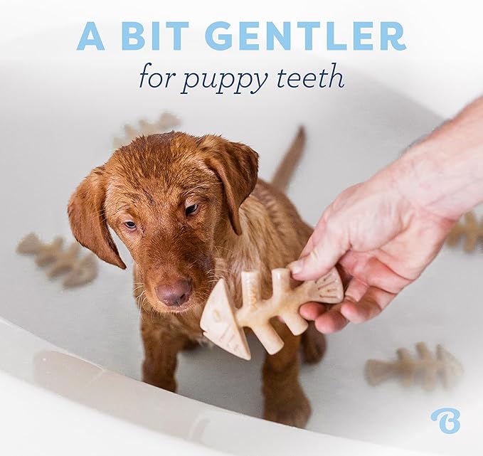 Benebone Puppy Fishbone Dog Chew Toys, Softer for Modest Chewers, Made in USA