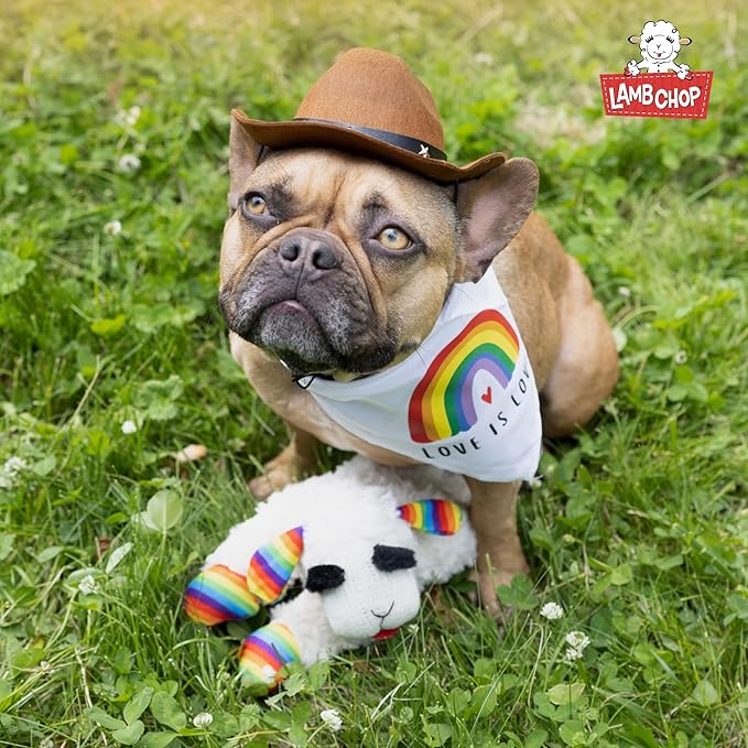 Multipet Lamb Chop Dog Plush Toy w/Birthday Hat - Squeaky Dog Toy for All Dogs - Soft Plush Dog Toy - Stuffed Animal Dog Toy for Playing - Cute Dog Birthday Toy (10.5, Pink Hat, 5 Squeakers)