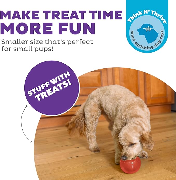 Outward Hound by Planet Dog Lil' Snoop Interactive Treat Dispensing Dog Toy, Small, Red