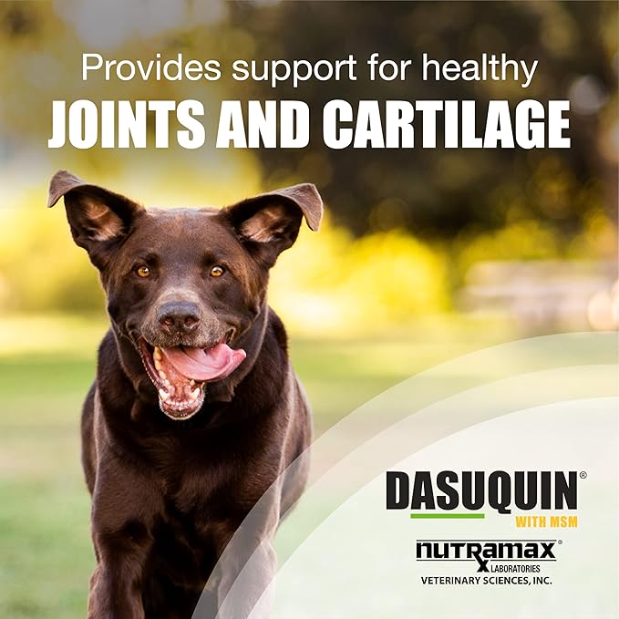 Nutramax Dasuquin for Large Dogs, Joint Health Supplement, Contains Glucosamine for Dogs, Plus Chondroitin, ASU, MSM and More, Supports Healthy Joints, Chewable Tablets, 2 Pack, 300 Count
