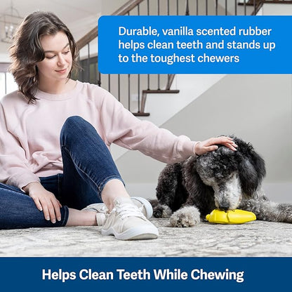 PetSafe Frosty Cone Dog Toys  Fill and Freeze Treat Holding Chew Toy  BPA Free Rubber  French Vanilla Scented  Interactive Pet Puzzle for Boredom or Separation Anxiety