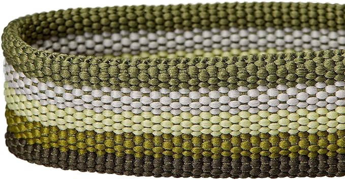 Blueberry Pet 3M Reflective Dog Collars | Adjustable Dog Collar w/Multi-Colored Stripe - Olive | Nylon Pet Collars for Dogs & Refflective Dog Collar for X-Large Dogs