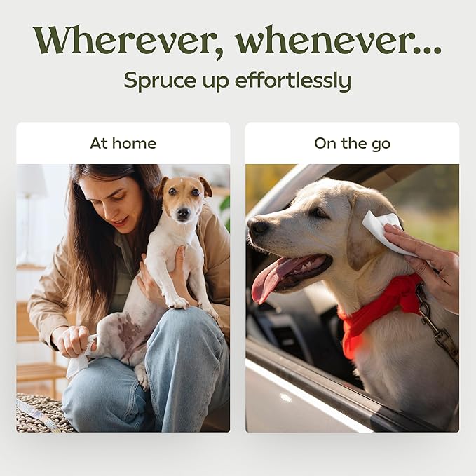 Pawfume Dog Wipes 100 Count, Pet Wipes  Hypoallergenic & Gentle Dog Wipes for Eyes, Face, Butt, and Paws  Cleaning & Deodorizing, Grooming Tear Stain Wipes for Puppy, Adult Dogs & Cats