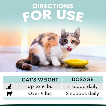 Urinary and Kidney Powder Supplement for Cats - Cranberry, Nettle Seed, D-Mannose for Cat UTI Treatment, Urinary Tract Health, and Kidney Care - Fast UTI Relief & Prevention - 60 Scoops