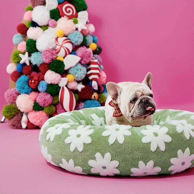Lesure Donut Small Dog Bed - Round Cat Beds for Indoor Cats Calming Pet Beds, Cute Modern Beds with Jacquard Shaggy Plush & Anti Slip Bottom, 30 Inch, Green