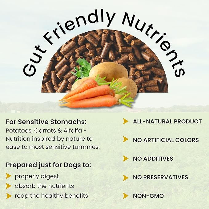 Olewo Rootsies Food Topper – Sensitive Stomach Dog Food, Fiber for Dog Stool Hardener, Dog Food Toppers for Picky Eaters, Probiotics for Dogs Digestive and Dog Gut Health, 2.2 lbs