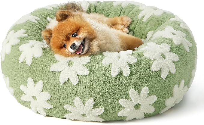 Lesure Donut Small Dog Bed - Round Cat Beds for Indoor Cats Calming Pet Beds, Cute Modern Beds with Jacquard Shaggy Plush & Anti Slip Bottom, 23 Inch, Green