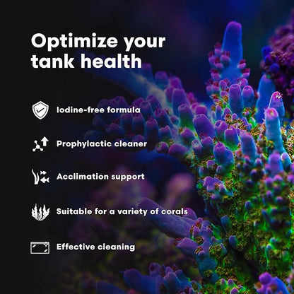 Brightwell Aquatics Koral MD Pro - Professional Strength Coral & Frag Dip & Cleaner, Conditioner & Acclimator for Coral Aquarium Tanks - Aquarium Water Treatments & Reef Supplies, 8.45 fl oz