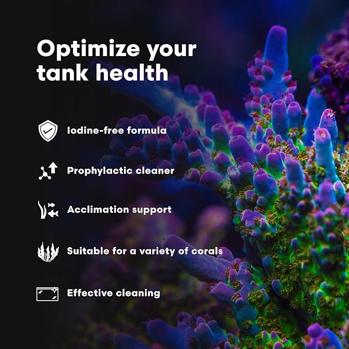 Brightwell Aquatics Koral MD Pro - Professional Strength Coral & Frag Dip & Cleaner, Conditioner & Acclimator for Coral Aquarium Tanks - Aquarium Water Treatments & Reef Supplies, 4.2 fl oz