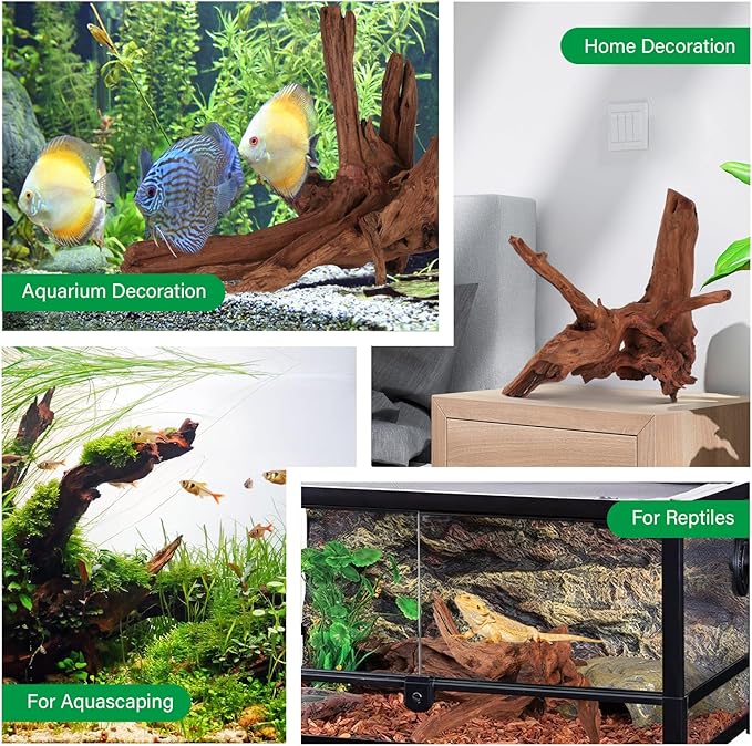 Driftwood for Aquarium Natural Aquarium Wood for Aquascaping Fish Tank Decorations Reptile Tank Decor (Natural Driftwood 12-16" 1 Pack+Protein Cotton)