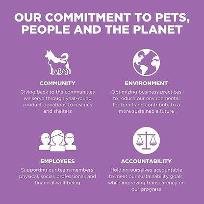 Go! Solutions Carnivore, Grain-Free, Protein Rich Dry Cat Food, Chicken, Turkey and Duck Recipe, 16 lb Bag