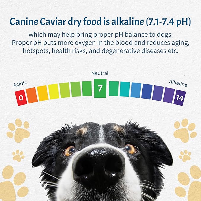 Canine Caviar - Open Meadow: Lamb & Pearl Millet Alkaline Dry Dog Food, Limited Ingredients, Gluten-Free, Based on Science & Research, Veterinary Alternative Diet (11 Pound Bag)