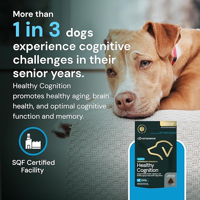 VetriScience Veterinary Strength Healthy Cognition Chews - Senior Wellness Supplement for Dogs - Supports Cognition, Immune Function & Metabolism - 60 Count