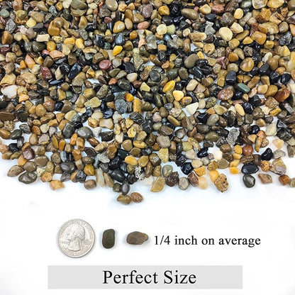 10LB Pea Gravel for Landscaping,1/4 Inch Aquarium Gravel. Decorative River Rocks for Fish Tank Succulent Vase Cactus Bonsai Plant Soil Cover and Outdoor Landscaping Rocks
