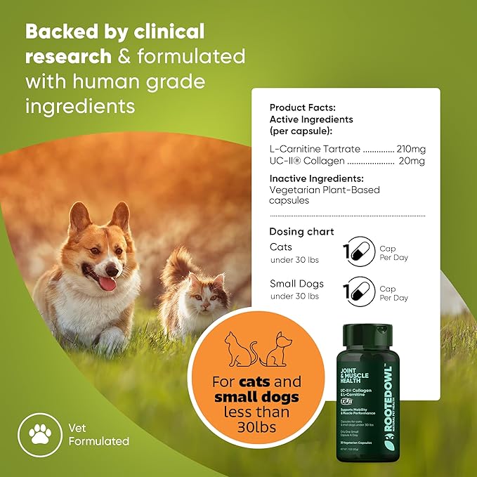 Rooted Owl Joint and Muscle Support for Cats and Small Dogs (Under 30 Lbs) - Supplement with UC-II Type II Collagen and L-Carnitine - 30 Count