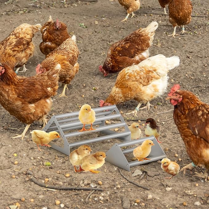 2 Pack Chick Perch Chick Toys for Brooder Chicken Perch for Coop Strong Chick Jungle Gym Roosting Bar Stand for Chicken, Chick, Bird, Easy to Assemble and Clean, Indoor/Outdoor Use, Large and Small