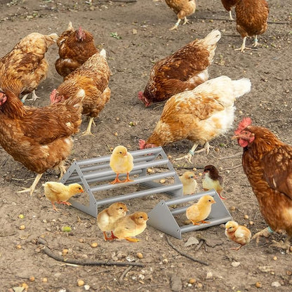 2 Pack Chick Perch Chick Toys for Brooder Chicken Perch for Coop Strong Chick Jungle Gym Roosting Bar Stand for Chicken, Chick, Bird, Easy to Assemble and Clean, Indoor/Outdoor Use, Large and Small