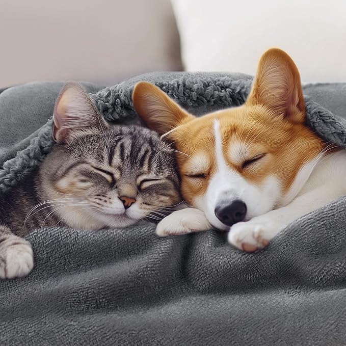 Luciphia Waterproof Bed Blanket Washable, Soft Sherpa Fleece Puppy Reversible Throw Blankets for Medium Large Dog Cat, Furniture Cover Protector Couch from Liquid Pee and Pet Fur, Light Grey,85" x 57"