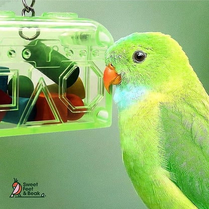 Sweet Feet and Beak Large or Small Treasure Chest - Perfect Bird Cage Toy Colorful, Safe, Easy to Install - Washable, Refillable, Non-Toxic, Foraging Box - Cage Accessories