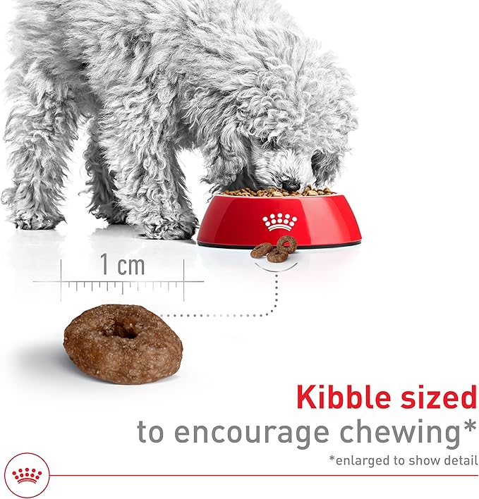 Royal Canin Size Health Nutrition Small Aging 12+ Senior Dry Dog Food, 2.5 lb Bag