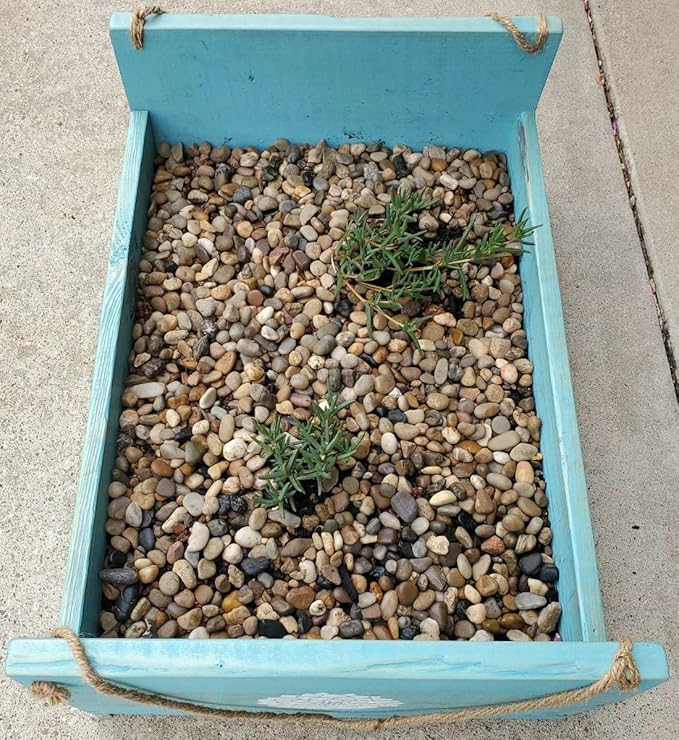 Voulosimi River Rock Stones, Natural Decorative Polished Mixed Pebbles Gravel,Outdoor Decorative Stones for Plant Aquariums, Landscaping, Vase Fillers (8 LB, Mixed Colors)