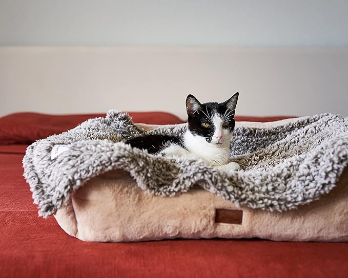 Pet Parents Pet Blanket, Water Resistant Cat Blanket, Dog Blanket, Puppy Blanket, Dog Blanket for Small Dogs, Dog Blanket for Medium Dogs, Dog Blanket for Large Dogs, Dog Blanket for Couch, 24"x32"