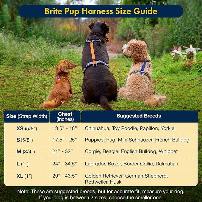 Dog Harnesses - No Pull Harness - Fully Customizable Fit for Small Dogs - 3M Reflective Heavy Duty Harness for Walking & Training - No Choke Comfort Collar Design, Made in USA S-Sky Blue