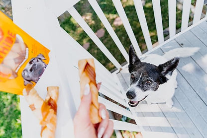 Cadet Chewalicious Chewy 'N Crunchy Braid Dog Treats, Limited Ingredient Rawhide-Free Dog Chews, Long-Lasting Made with Real Chicken, 3 Count (Pack of 1)