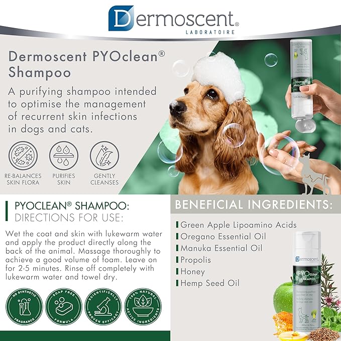 Dermoscent PYOclean Shampoo for Dogs & Cats - Anti-Itch Sensitive Formula to Control Skin Infections & Allergy Symptoms - 200 ml