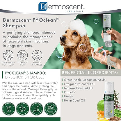 Dermoscent PYOclean Shampoo for Dogs & Cats - Anti-Itch Sensitive Formula to Control Skin Infections & Allergy Symptoms - 200 ml