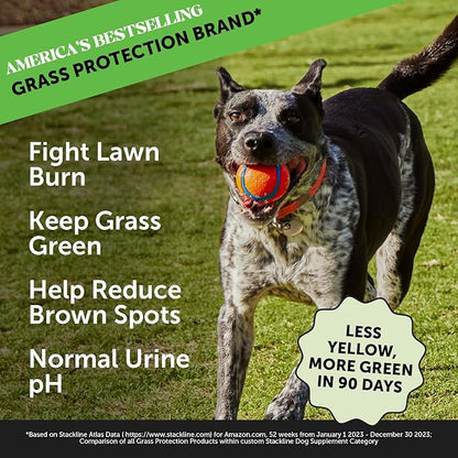 Pet Honesty Grass Green - Pee Grass Spot Saver Caused by Dog Urine, Gut Health Probiotics, Dog Urine Neutralizer for Lawn, Grass Burn Spot Chews, Cranberry, Apple Cider Vinegar, Dog Rocks (Duck 90 ct)