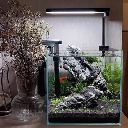 Natural Seiryu Dragon Stone - 20 Pound for Aquariums Decoration, Natural Perforated Fish Tank Decorative Stone for Freshwater Shrimp/Bucket and Reptile Terrarium Hardlandscape, 3-9 Inch