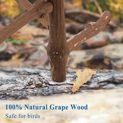 CozyCabin Natural Bird Perch Stand, Hanging Multi Branch Grapevine Parrot Perch Bird Cage Toys for Small Budgies Conure Parrot Parakeets Cockatiels Lovebirds (Branch)