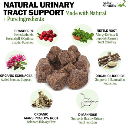 Deley Naturals Dog UTI Chews - Vet-Grade Cranberry Supplement for Dogs with D-Mannose & Echinacea for Bladder & Urinary Tract Health - Urinary Tract Supplements for Small to Large Breeds - 120 Chews