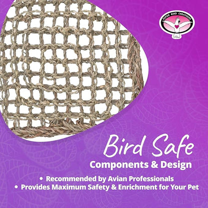 Super Bird Creations SB50004 Seagrass Mat for Cage Decor, Pet Enrichment and Boredom Relief - Versatile Toy-Making Base - Ideal for Parrots - Small to Large Birds & Reptiles - 10"x10" (3 Pack)
