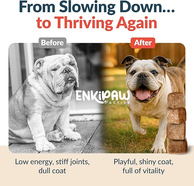 9-in-1 Senior Dog Multivitamin for Joints, Digestion & Immunity with Probiotics, Colostrum, Omegas, Taurine, Minerals –120 Tasty Duck Chews - Allergen Free - Made in USA